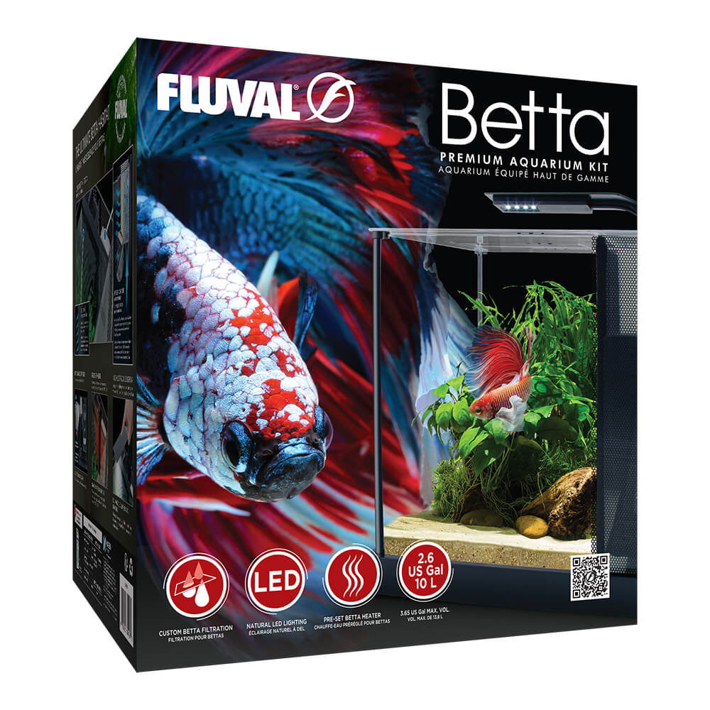 betta fish trinket box Fluval Betta Premium Aquarium Kit