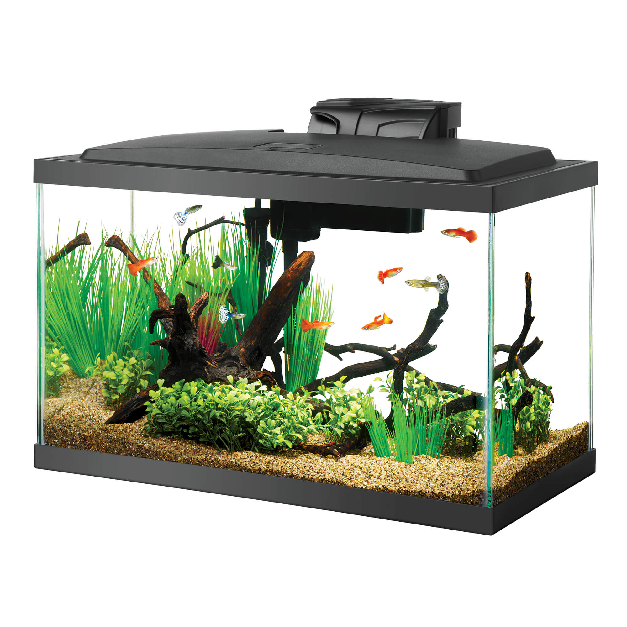 Aqueon LED Aquarium Kit