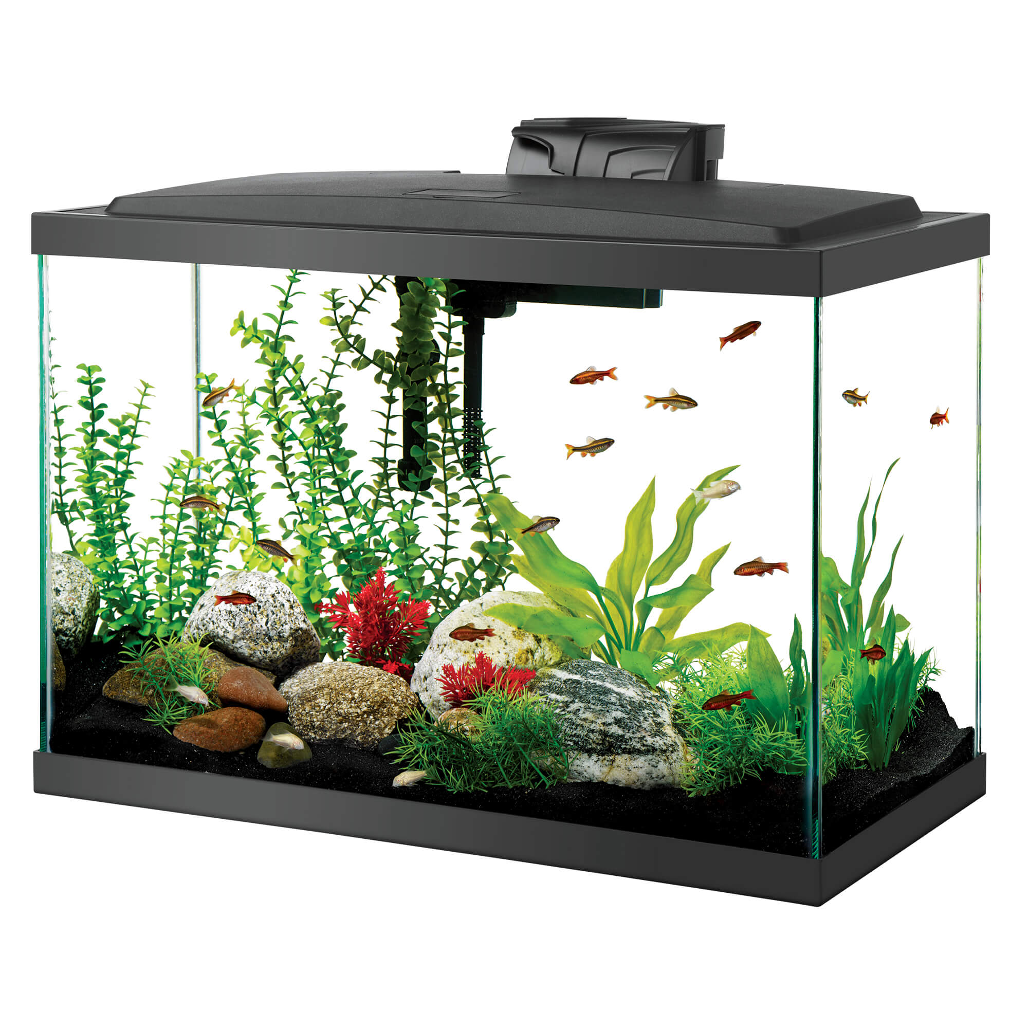 aquarium fish tank accessories kits with led lighting Aqueon Aquarium Starter Kit with LED Lighting 20 Gallon High – Petsense