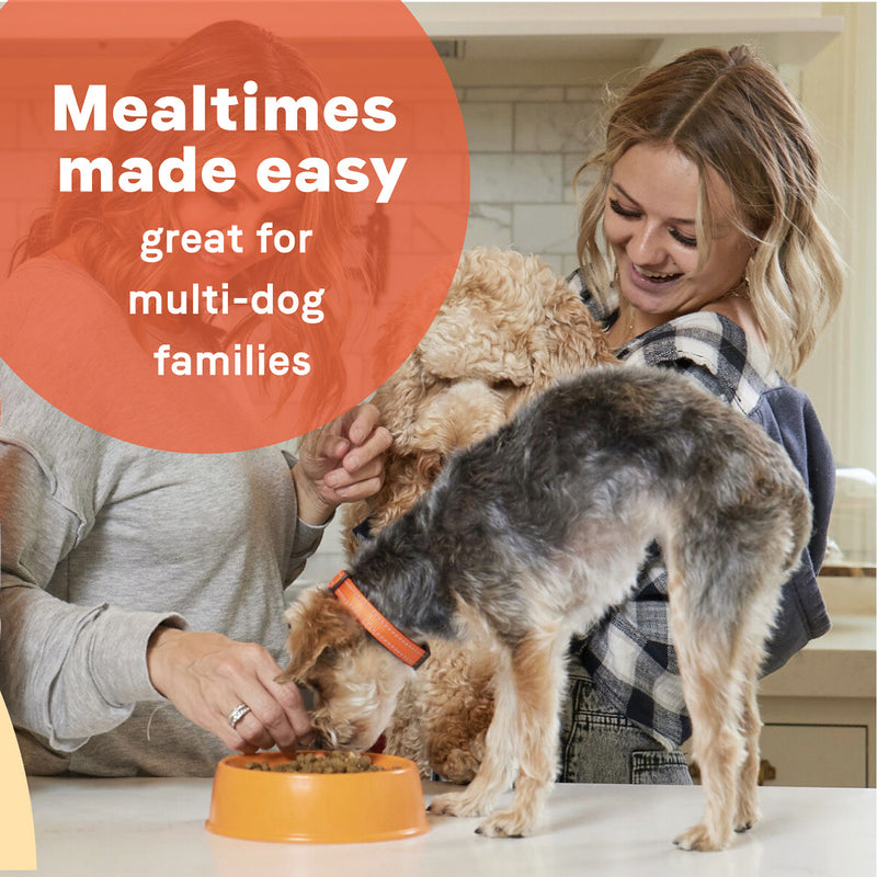 Canidae All Life Stages Chicken Meal & Rice Formula Dry Dog Food