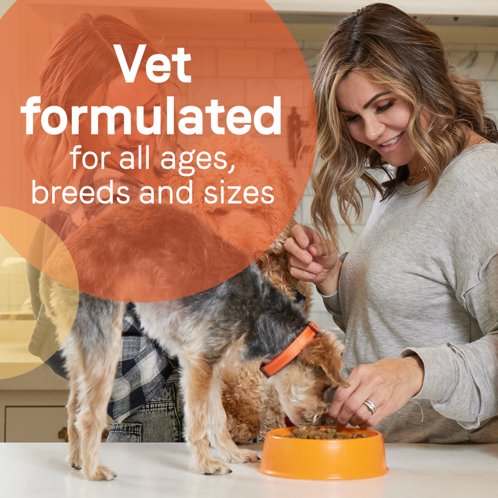 Canidae All Life Stages Chicken and Rice Canned Dog Food Petsense