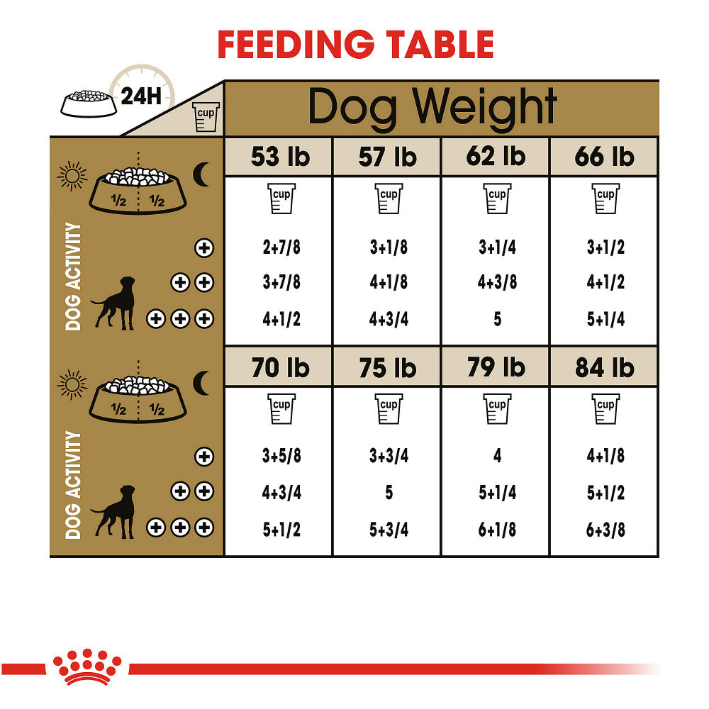 How Much Food to Feed an Adult Boxer Dog: Expert Guide