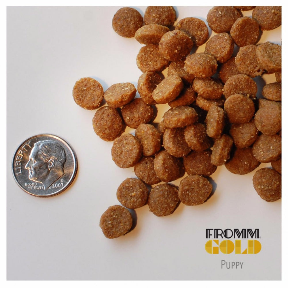 Fromm Gold Puppy Dry Dog Food – Petsense - Main Image