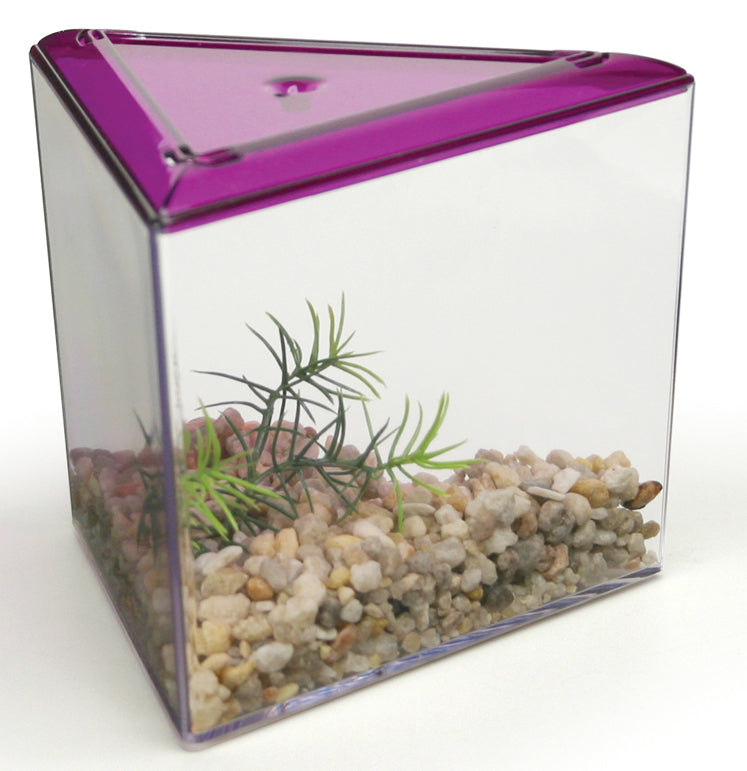 cheap betta fish accessories 10 Gallon Tank, Fish Tank Small Aquarium Starter Kits Self Cleaning with 3 Types of LED Lights and Filter Water Pump, Ultra Quiet Despite some positive experiences Aqueon Betta Bowl Kit Blue