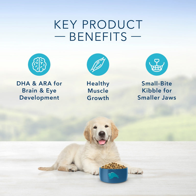 Blue Buffalo Life Protection Formula Puppy Lamb & Oatmeal Recipe Dry Dog Food