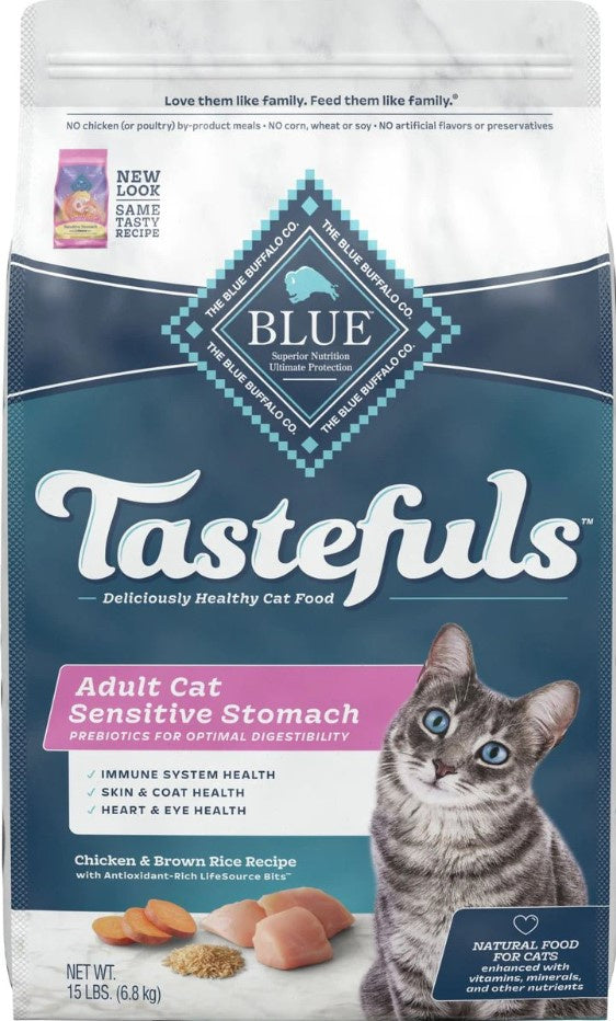 Indoor Cats Best Kitten Food Brand Best Brand Of Cat Food For