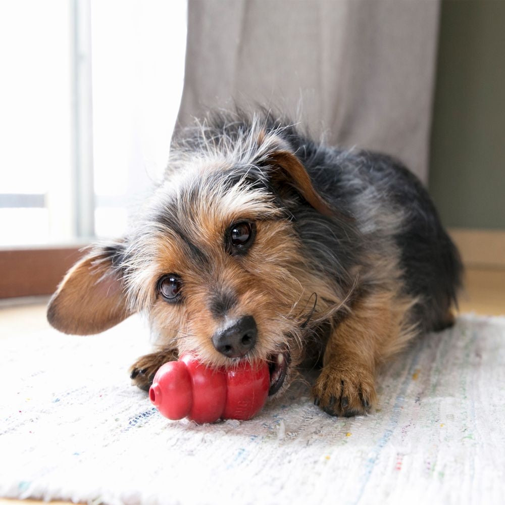 KONG Licks Dog Toy, Large  Woodlands Pet Food & Treats