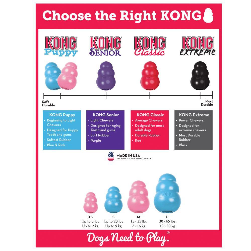 KONG RePlay Dog Treat Dispensing Dog Toy – Petsense