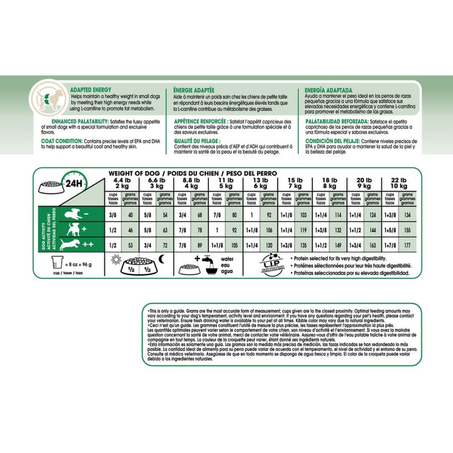 Understanding small pet nutrition: basics you must know