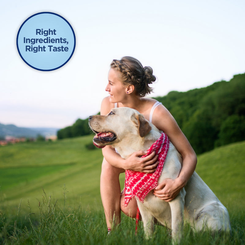 Natural Balance Rewards Jumpin' Stix With Real Venison Dog Treats
