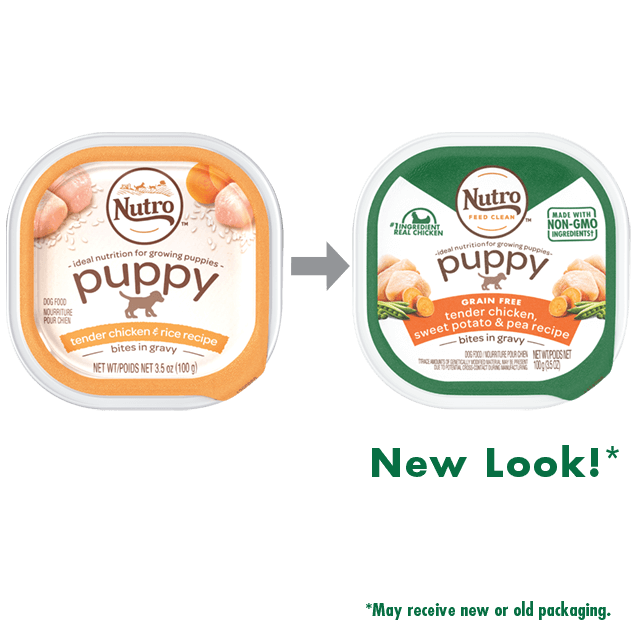 Nutro Puppy Tender Chicken Rice Recipe Cuts In Gravy Dog Food