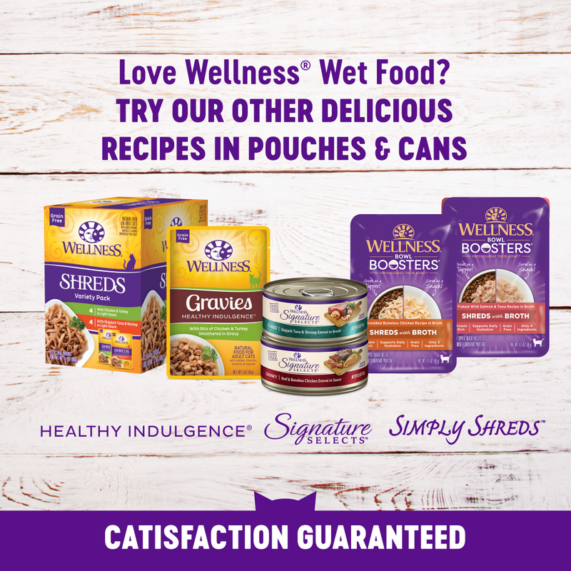 Wellness Healthy Indulgence Natural Grain Free Morsels with Tuna in Savory Sauce Cat Food Pouch