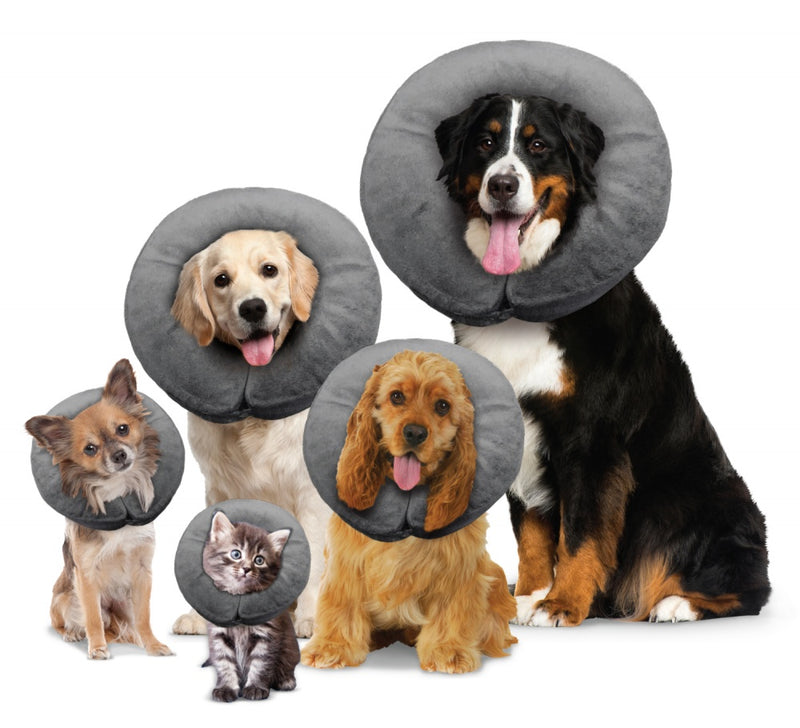 Arlee Pet Products COMFURT Collar