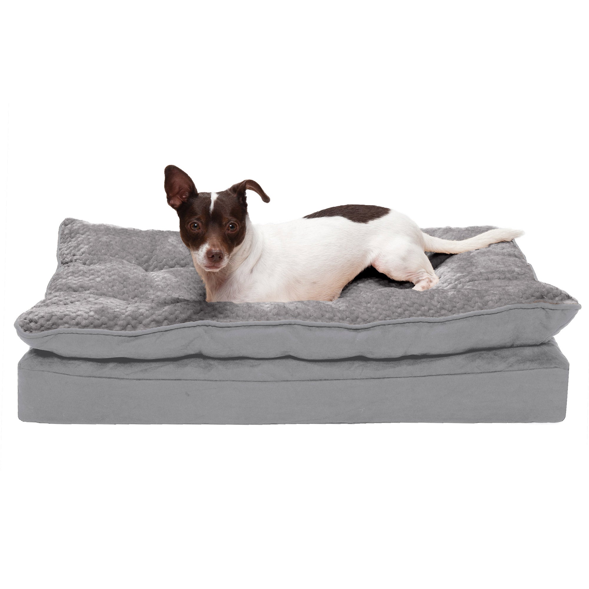 FurHaven Minky Faux Fur & Suede Pillow-Top Orthopedic Dog Bed - Medium –  Petsense