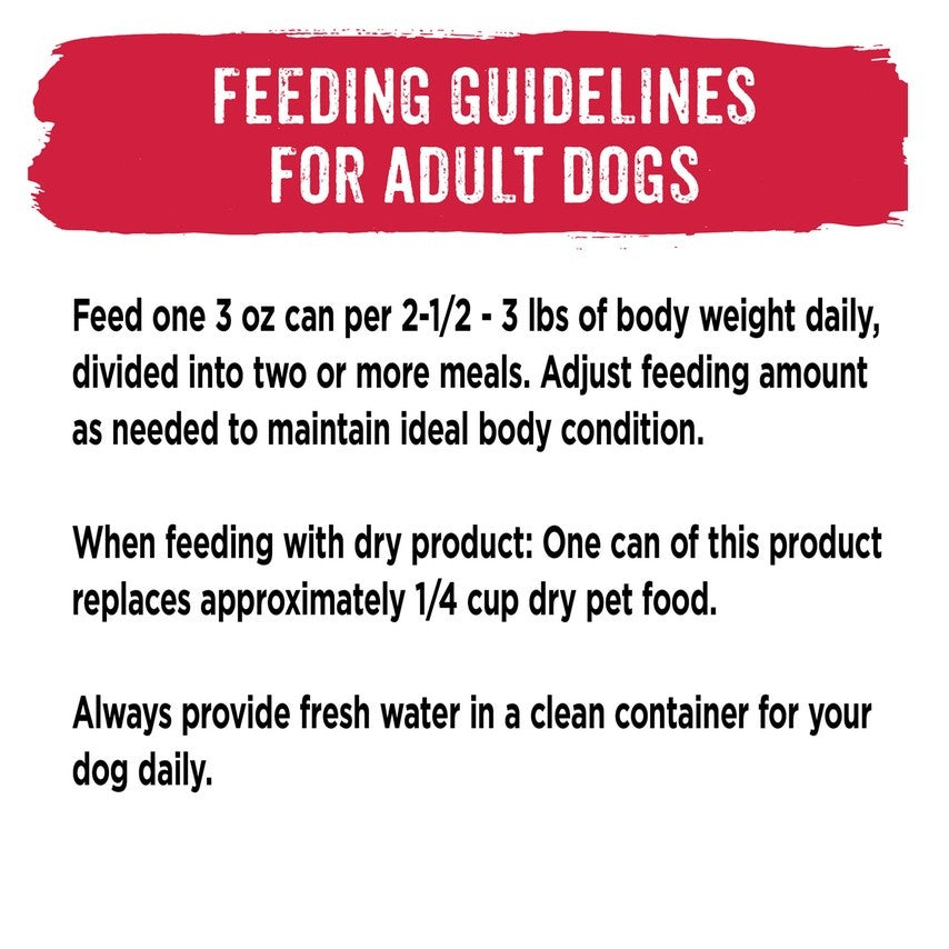 How To Feed your Adult Dog - Dog Feeding Guide
