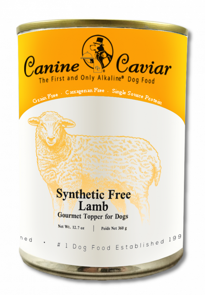 Synthetic free dog sales food
