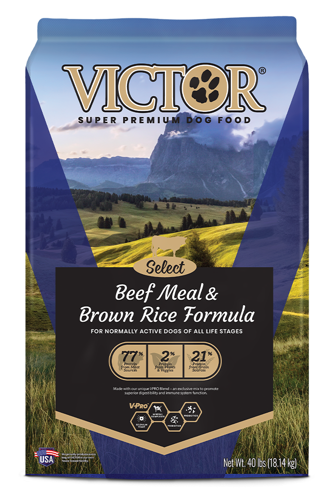 Victor Select Beef Meal & Brown Rice Formula Dry Dog Food