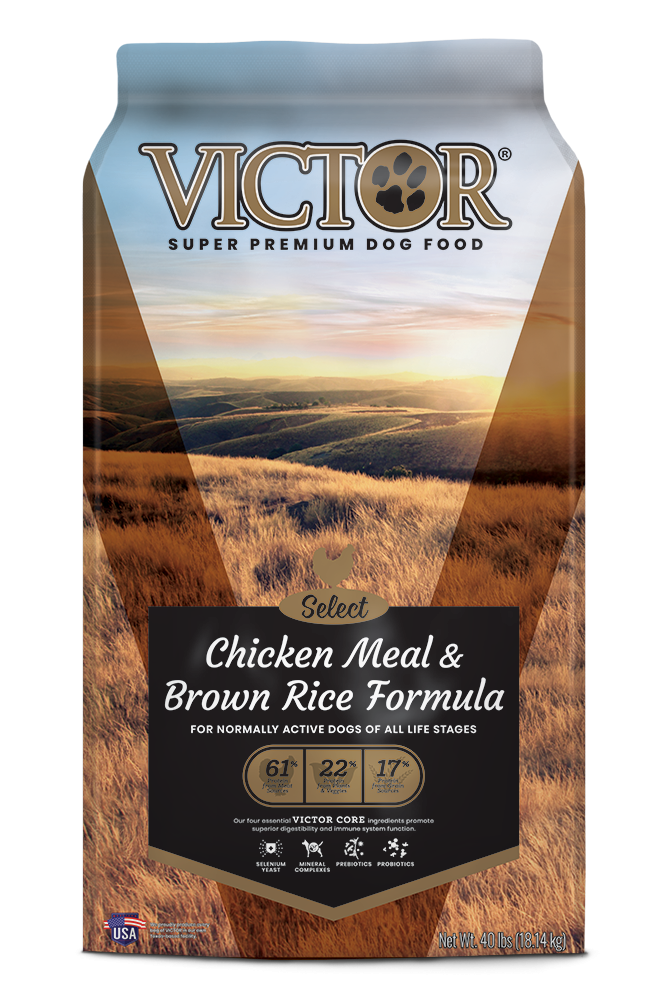 Victor Select Chicken Meal & Brown Rice Formula Dry Dog Food