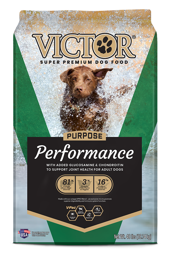 Shop victor dog food feeding guide Online Sale