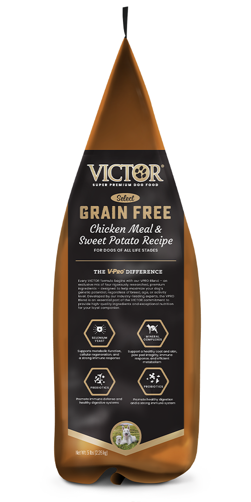 Victor Select Grain Free Chicken Meal & Sweet Potato Recipe Dry Dog Food