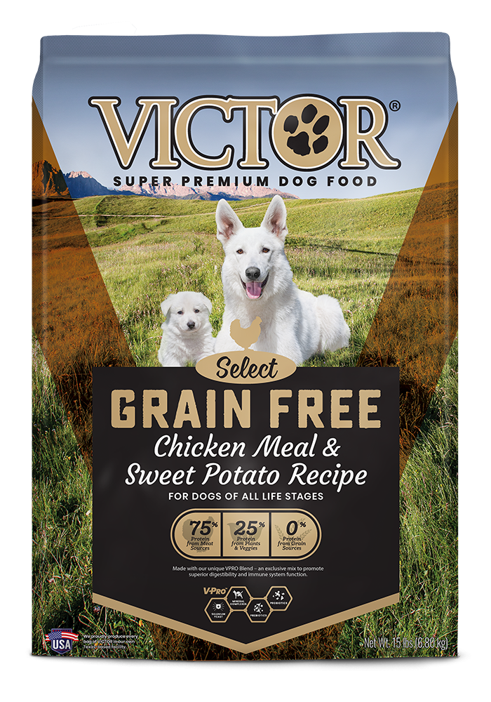 Victor Select Grain Free Chicken Meal & Sweet Potato Recipe Dry Dog Food