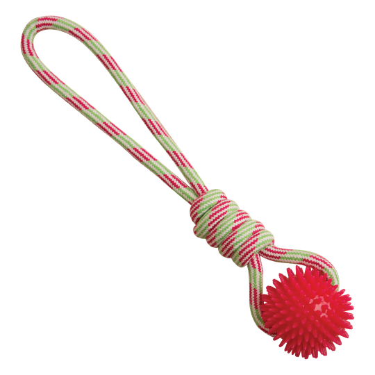 Snugarooz Spike-O-Mite Rope Dog Toy