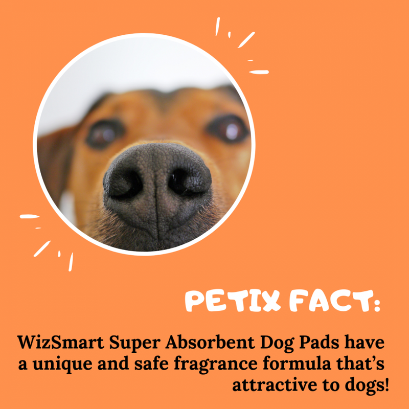 WizSmart Super All Day Dry Premium Dog Pads