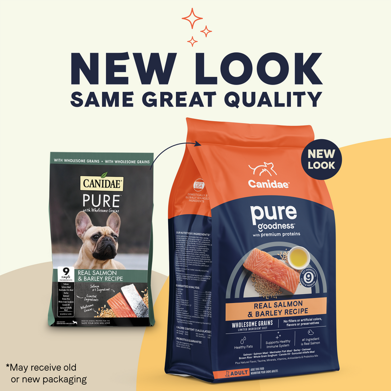 Canidae Pure with Grains Real Salmon & Barley Recipe Dry Dog Food
