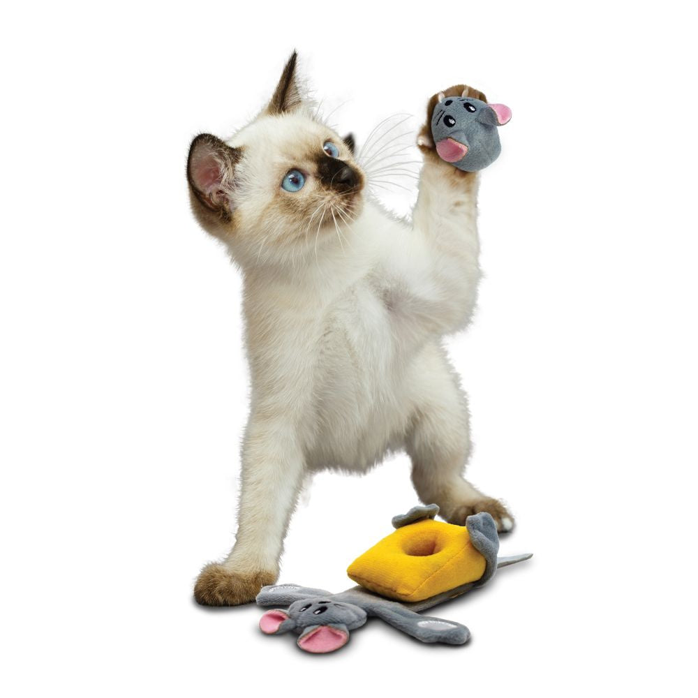 KONG  Dog Toys, Cat Toys, and Treats