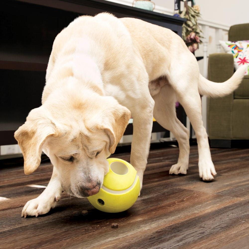 KONG Rewards Tinker Treat Dispenser Dog Toy