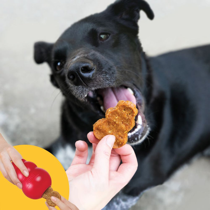 KONG Jerky Chicken Dog Treat for KONG