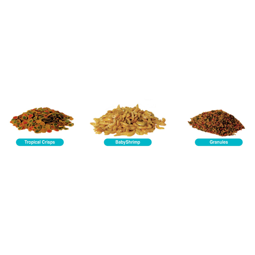 Tetra TetraMin Crisps Select-A-Food Variety Pack Flakes Fish Food – Petsense