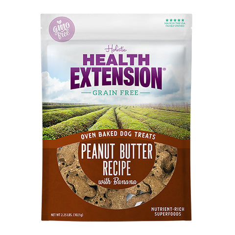 Health Extension