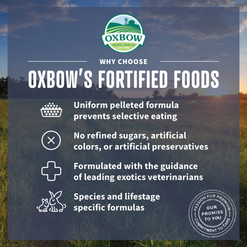 Oxbow Animal Health Essentials Chinchilla Food All Natural Chinchilla Food