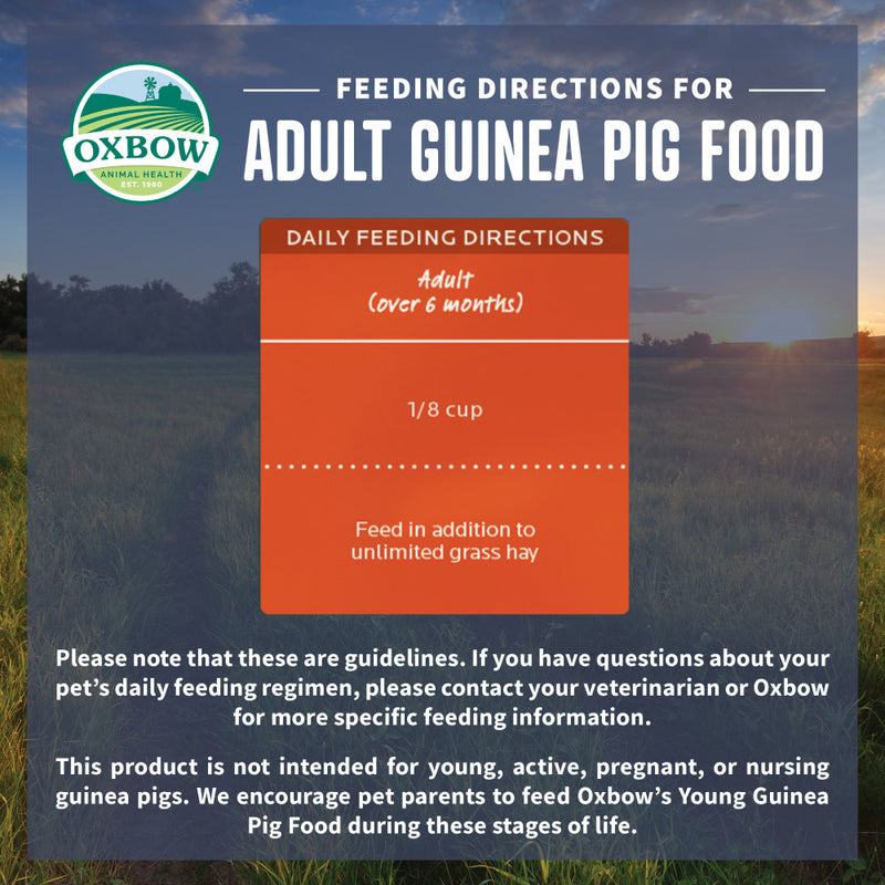 Oxbow Animal Health Organic Bounty Adult Guinea Pig Food