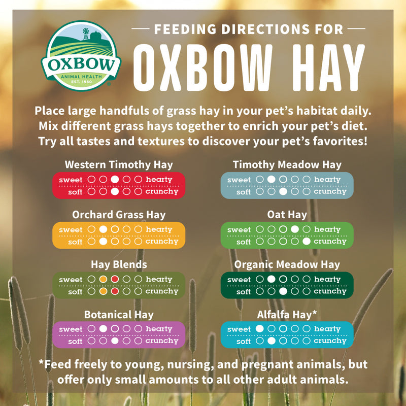 Oxbow Animal Health Organic Meadow Hay For Rabbits & Guinea Pigs