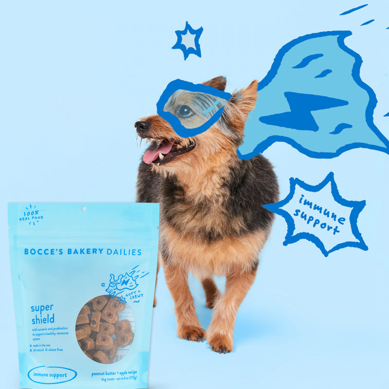Bocce's Bakery Super Shield Soft & Chewy Dog Treats