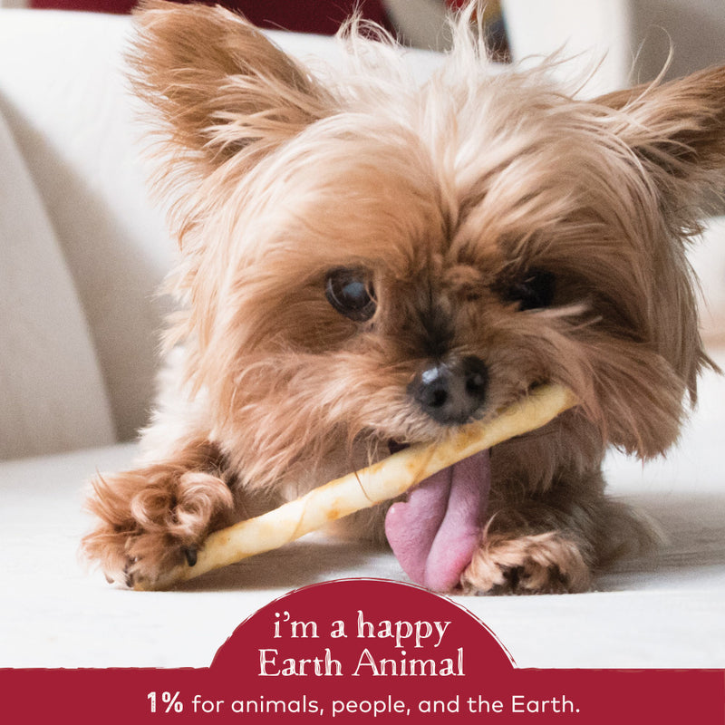 Earth Animal No-Hide Beef Stix Dog & Cat Chews