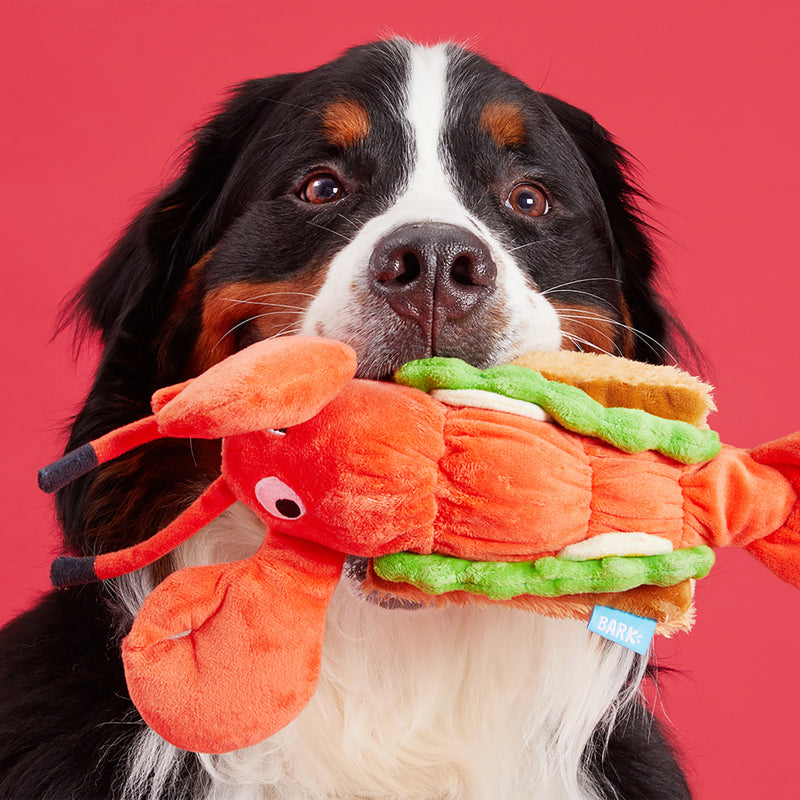 BARK Max's Maine Lobster Roll Dog Toy