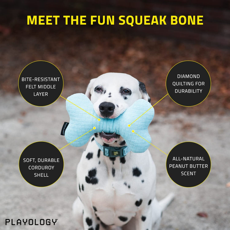 Playology Plush Bone Beef Scented Dog Toy