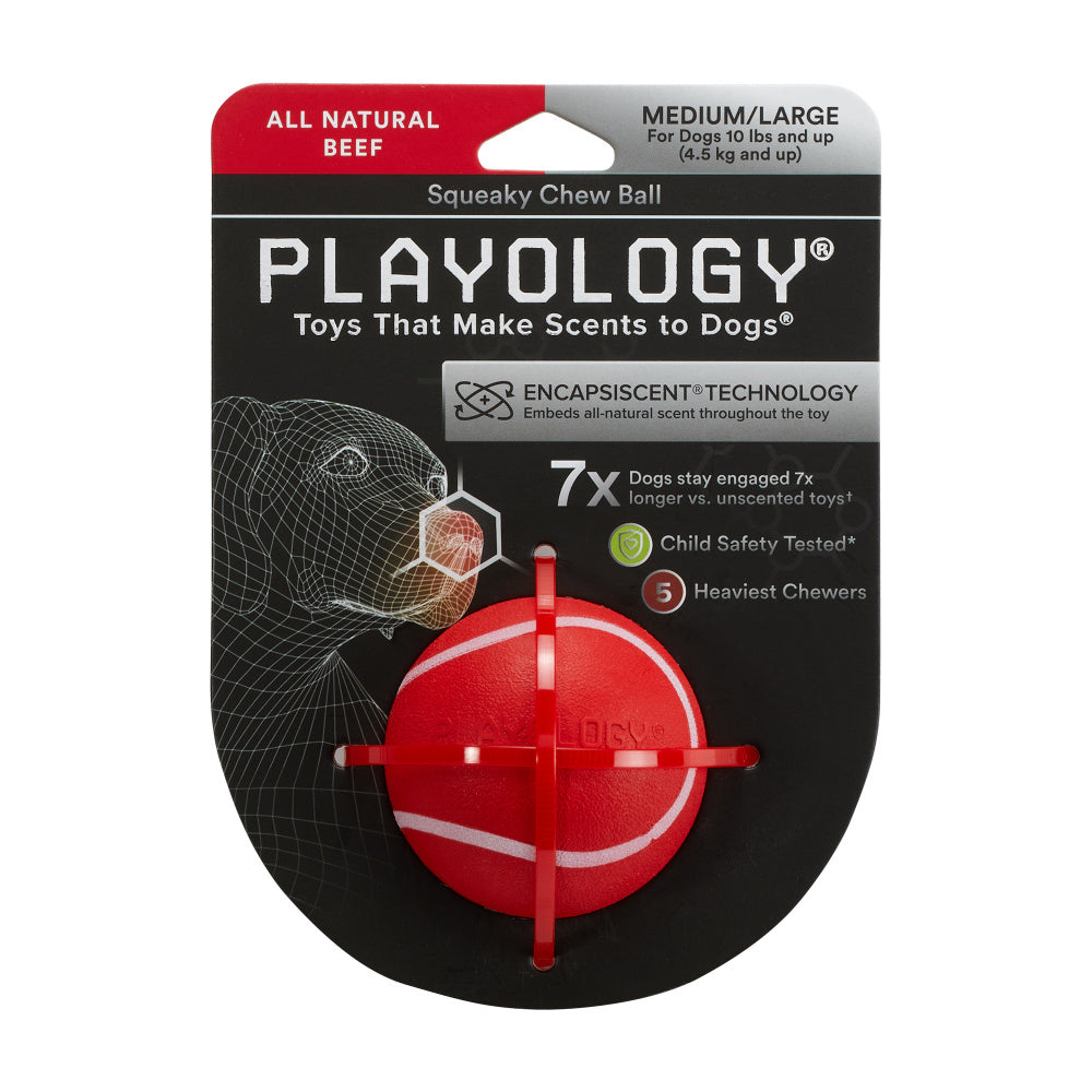Playology Squeaky Chew Ball Beef Scented Dog Toy – Petsense