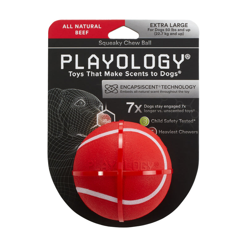 Playology Squeaky Chew Ball Beef Scented Dog Toy