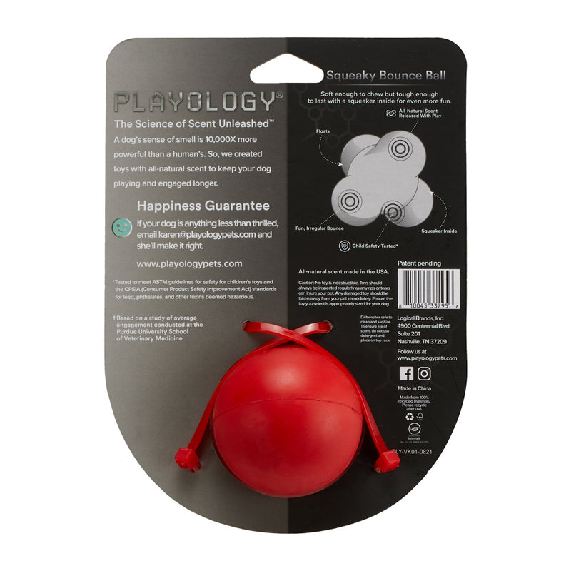 Playology Squeaky Bounce Ball Beef Scented Dog Toy