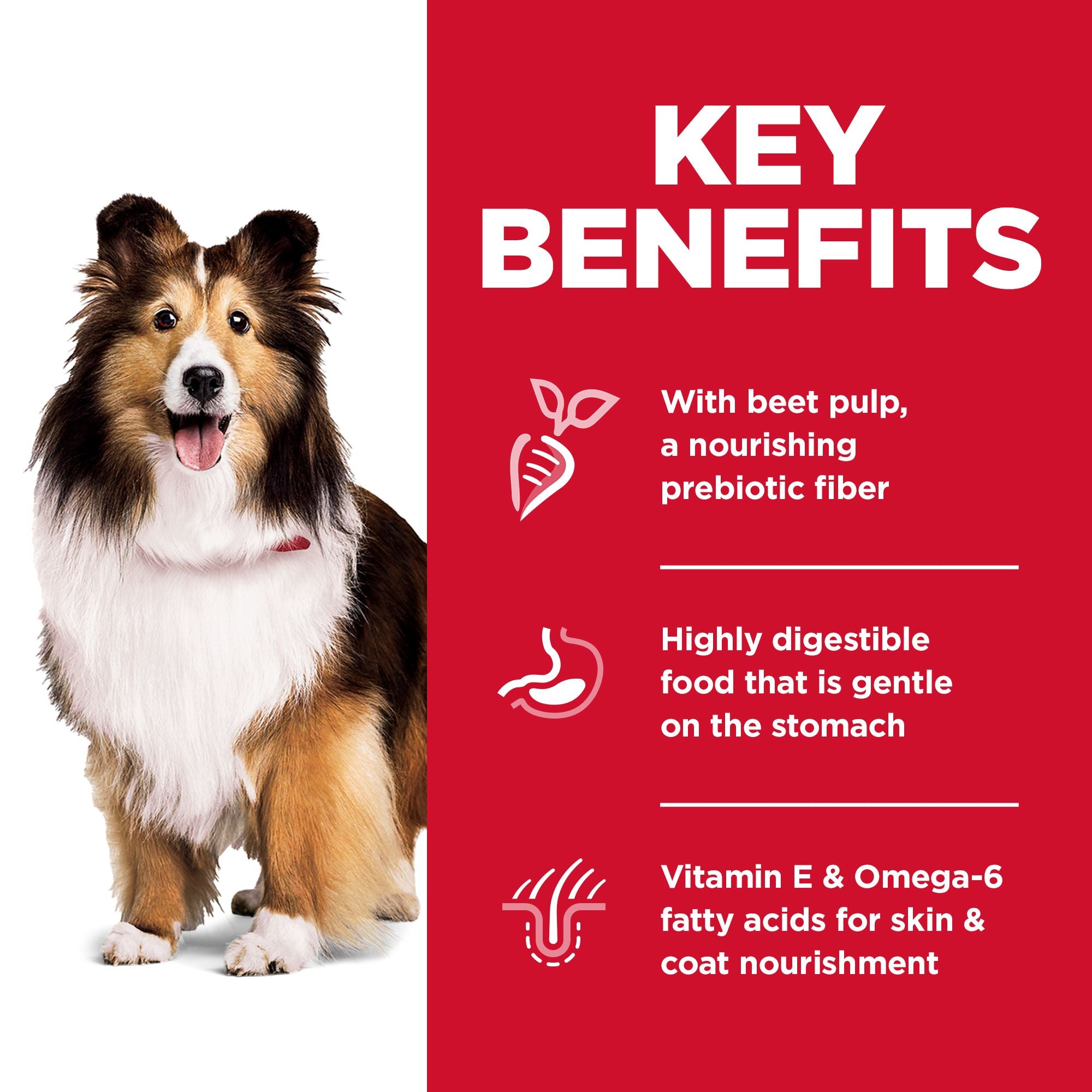 Hill's Science Diet Adult Sensitive Stomach & Skin Dry Dog Food, Chick Petsense Hill's Science Diet Adult Sensitive Stomach & Skin Dry Dog Food, Chick Petsense