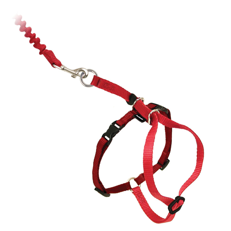 PetSafe Come with Me Kitty Harness and Bungee Leash – Adjustable, Lightweight Harness for Cats, Red