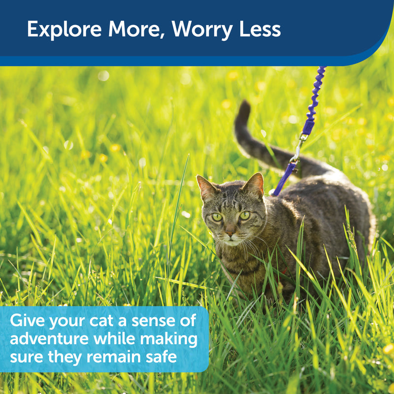 PetSafe Come with Me Kitty Harness and Bungee Leash – Adjustable, Lightweight Harness for Cats, Royal Blue