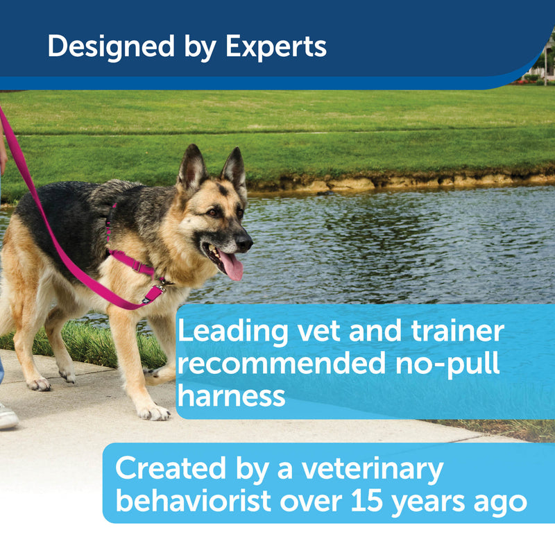 PetSafe Easy Walk Dog Harness - No Pull Dog Harness - Royal Blue