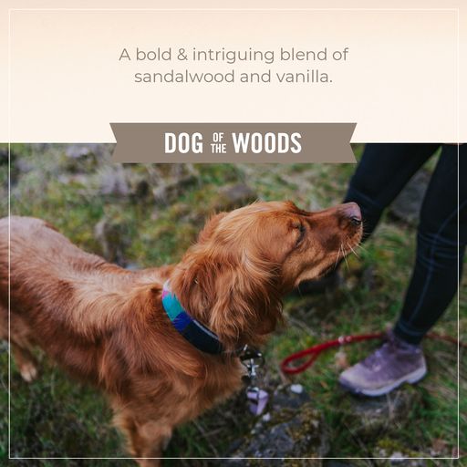 Skouts Honor Probiotic Detangler Dog of the Woods