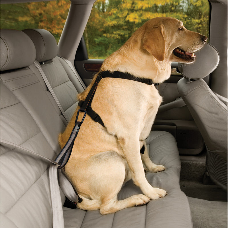 Kurgo Dog Seat Belt Pet Safety Tether