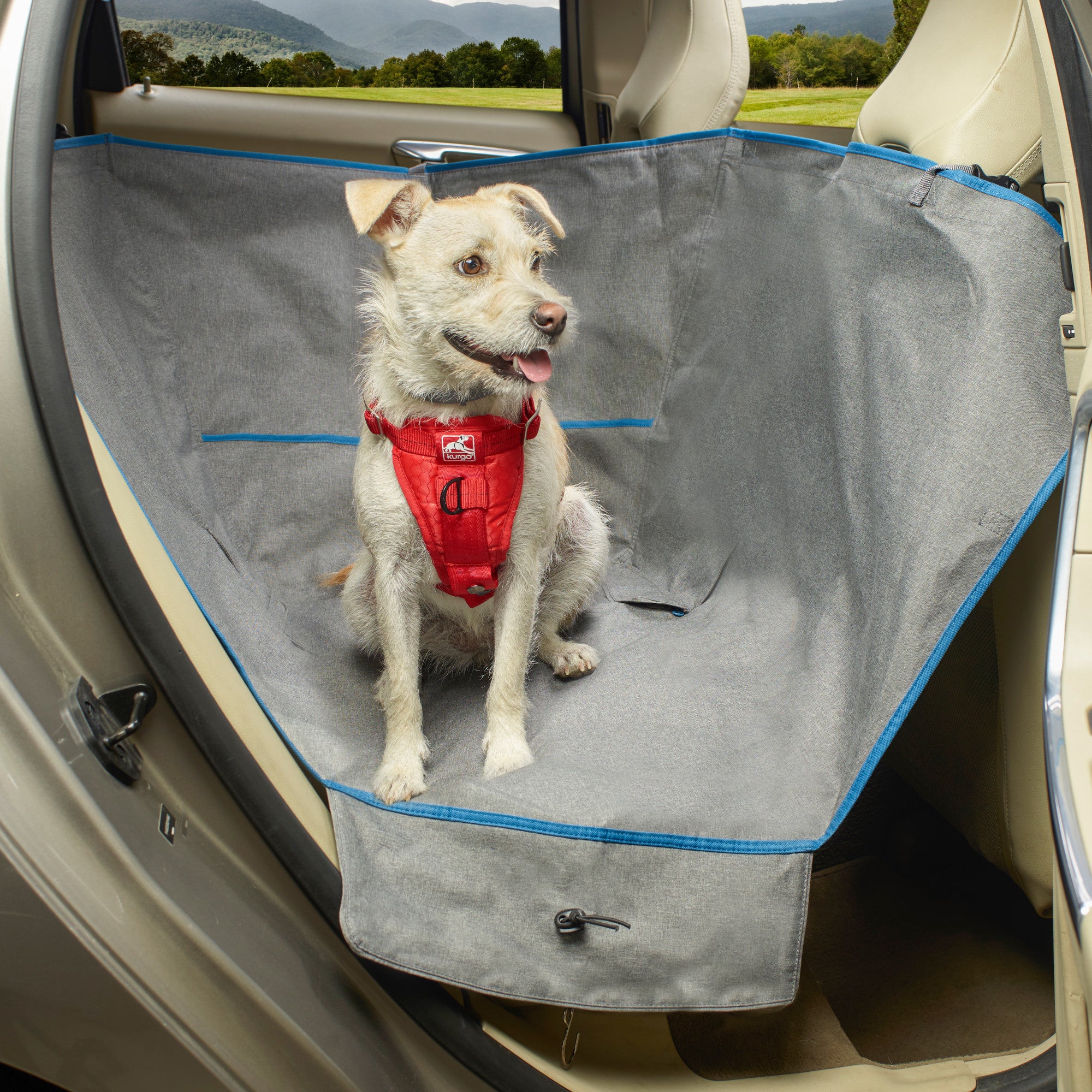 Pet Car Seat Hammock Style Cover Grey, Formosa Covers